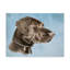 Impression sur toile tendue Armstrong «Chocolate Lab»-27653185