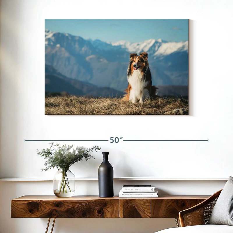 Brampt Shetland Sheepdog, 26" H x 39" W