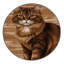  Tapis lavable pour chats birmans-405153877