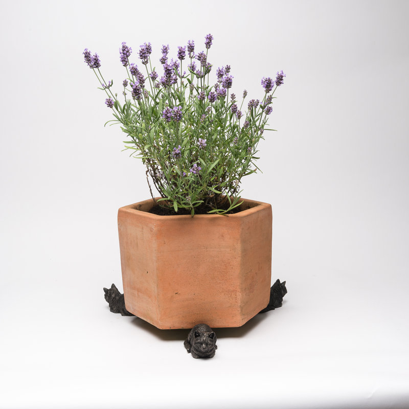 Elara Weather Resistant Planter Feet