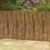 60'' H x 156'' W Natural Bamboo Fencing