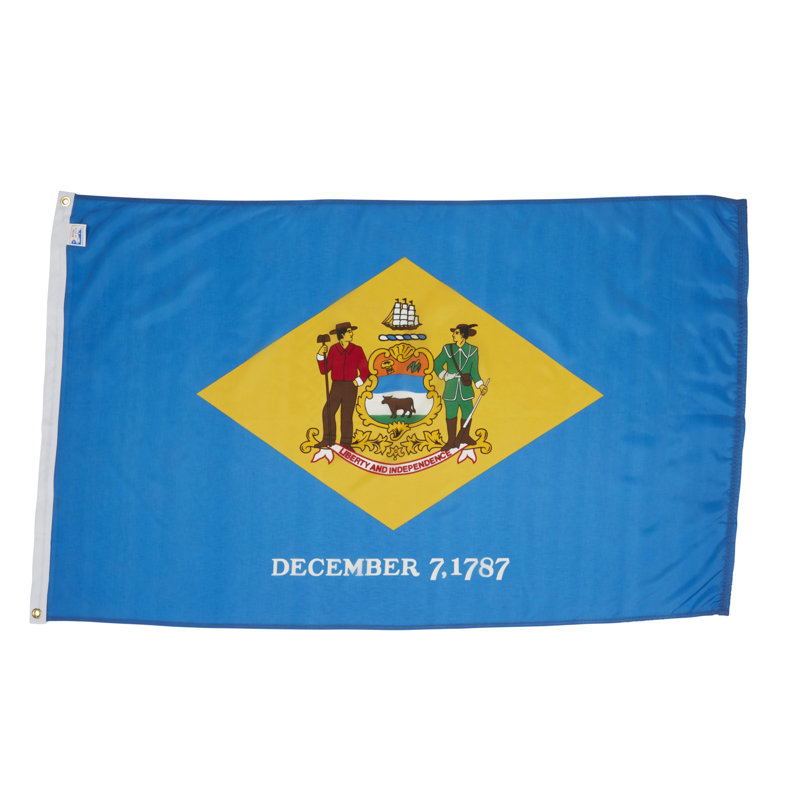 Drapeau de maison State, Delaware, Nylon, 48 po x 72 po