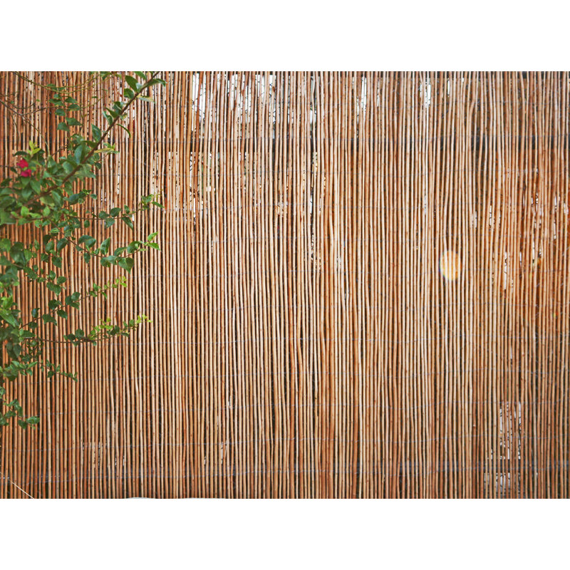 Panneau de clôture en bois de saule H 6 pi x l 8 pi, Carbonisé