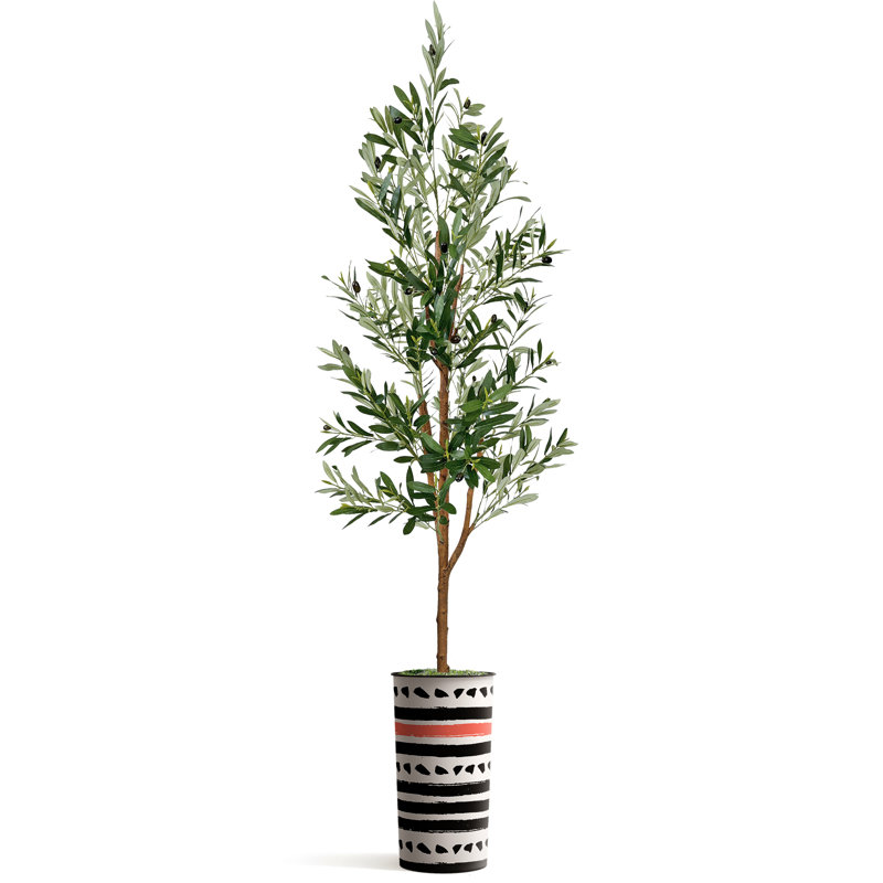 68 plantes, Géométrique / rouge / noir