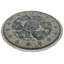 Kassidie Oriental Area Rug in Blue