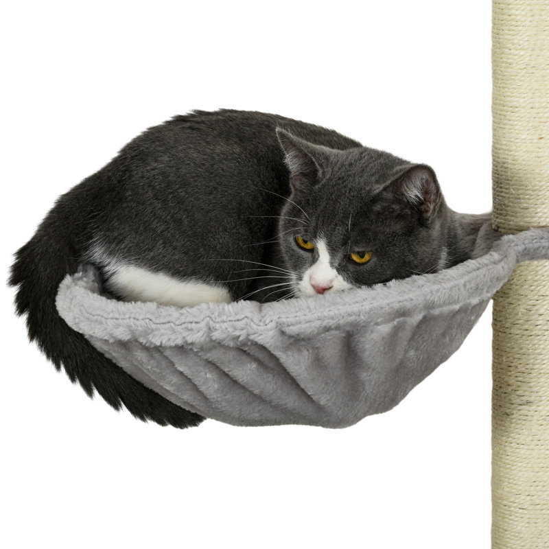 Étagères murales pour chat 5 pièces, étagères murales pour chat avec hamac, perchoirs, échelle, poteaux à griffer, meubles muraux pour grimper et se détendre, gris