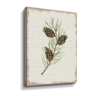 Pine Cone Botanical I Gallery