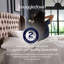 Retreat Snuggledown Sumptuous Goose Down Duvet 13.5 Tog Winter Duvet with 2 Pillows-50875979