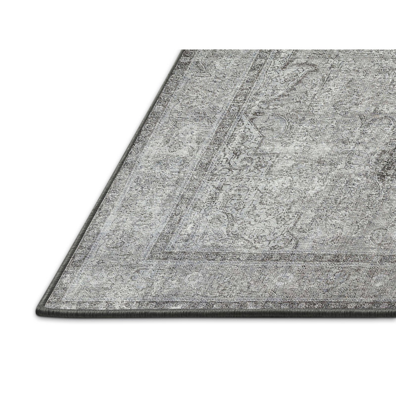 Aleena Oriental Indoor Rug, Rectangle 8' x 10'