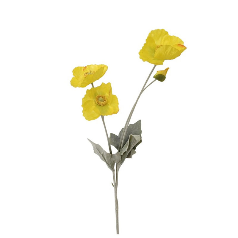 Ranunculus Arrangement, Yellow