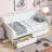 Twin Size Pine Wood Daybed with Two Storage Drawers-1190929936