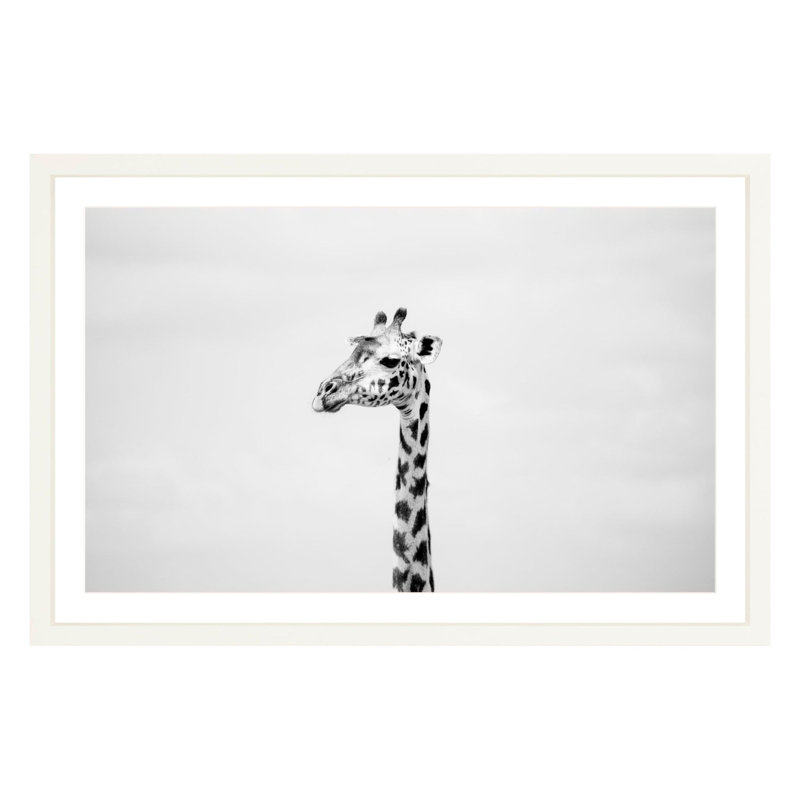 "Gerald" by Amanda Anderson, White, 28" H x 42" W x 2.25" D