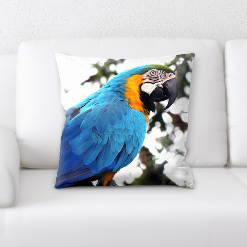 Coussin ara