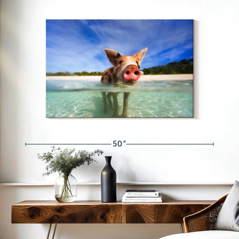 Brampt Pig In Exuma Bahamas