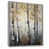 Silver Floater Framed