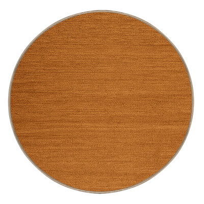 Machine Washable Solid Brown Area Rug