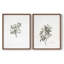 Impression florale rétro vintage XXII - ensemble de 2 estampes-715148021-715148022