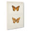 Variegated Fritillary Butterfly by S.F. Denton - Wrapped Canvas-55370190