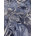 Blue/Silver