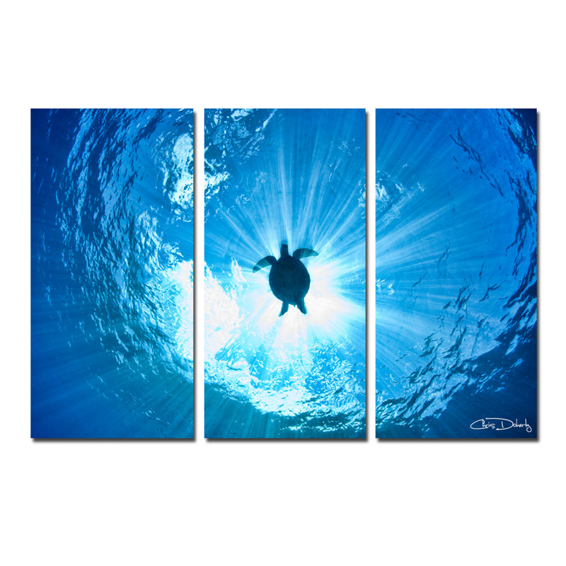 « sea tortue »-3 pièces, ensemble de 3 reproductions de photos sur toiles
