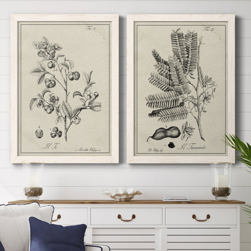 «Antique Black and White Botanical IV», ensemble de 2 reproductions d'art sur toile, H 43,5 po x l 63 po x P 1 po