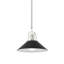 Luminaire suspendu conique à 1 lumière Syosset-481486911-396635716-283846874