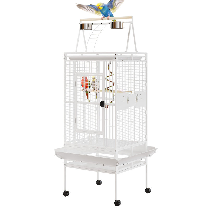 Cage à perroquet 67 po avec support roulant, cage en fer forgé Conure, cage à oiseaux en métal blanc pour petits oiseaux moyens