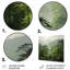 Rainforest Jungle Landscape 1 - Art mural en métal Jungle-38436619