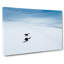 Playing Penguins - Wrapped Canvas-55324719