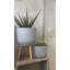 Pot Planter-1245992563