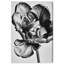 Graphite Flower Print by Oliver Gal-728484457-728484475