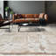 Area Rug in Beige