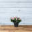 Carrero Pot Planter-579612685-579612681