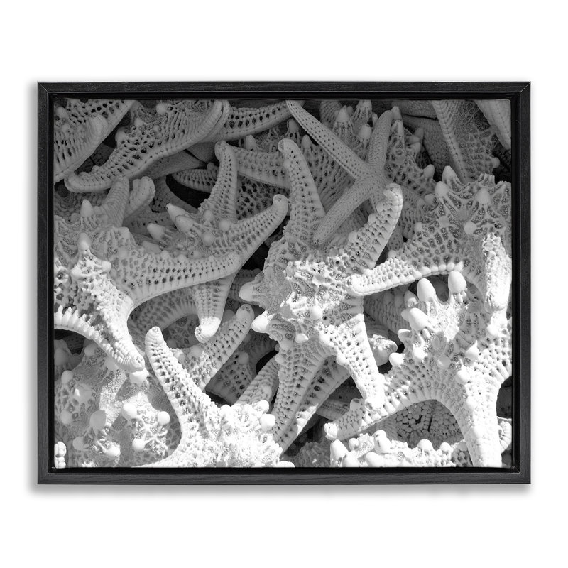 «Nautical Starfish Pile» par Jairo Rodriguez, Cadre flottant noir de jais, H 17 po x l 21 po
