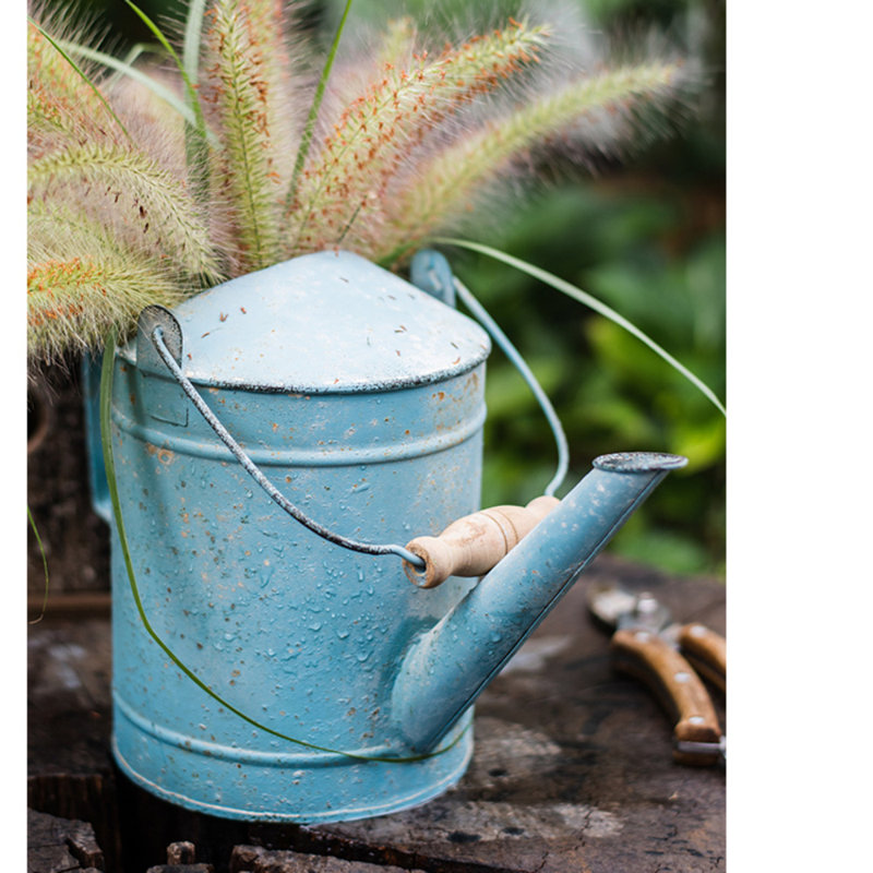 Pot de fleurs en fer lacine