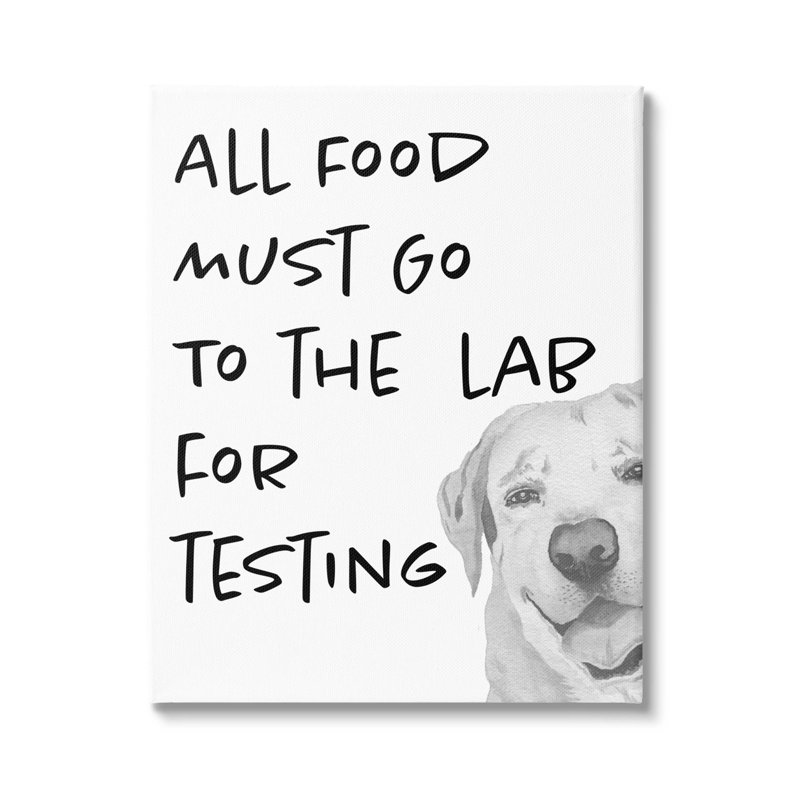 «Food To Lab For Testing Drôle de chien flottant» par Elizabeth Medley, H 30 po x l 24 po x P 1,5 po, Toile tendue