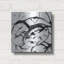 «Silver Dollars 2» par Erin Clark, art mural en métal-112461043