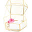 Glass Gift Card Holder-34139485