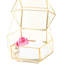 Porte-carte-cadeau pour pot de fleurs terrarium-34139485