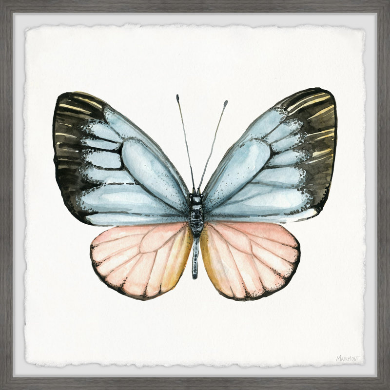 Tropical Butterfly - Single Picture Frame Painting, 30cm H x 30cm W x 3.81cm D