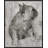 " Duke " by Albena Hristova-23611255-24088044-24422326