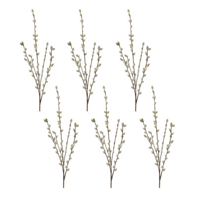 Brindille de saule