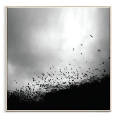 Print on Canvas