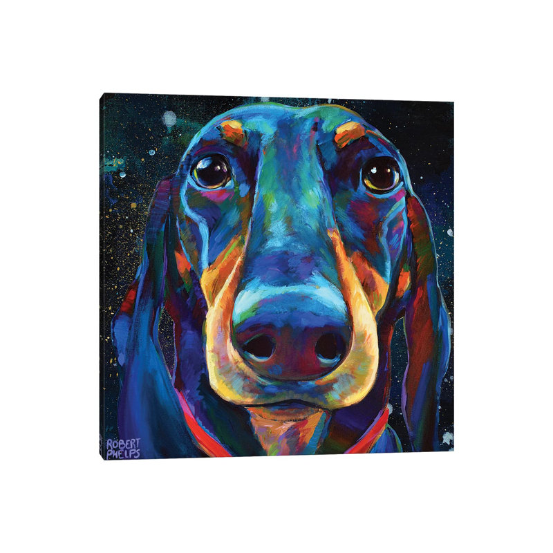 Dachshund In Space by Robert Phelps - Gallery-Wrapped Canvas Giclée on Canvas, 30.48 cm H x 30.48 cm W, Wrapped Canvas