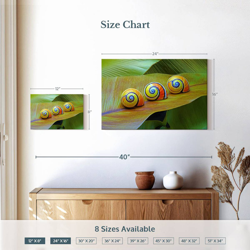 Brampt Cuban Snails, 16'' H x 24'' W