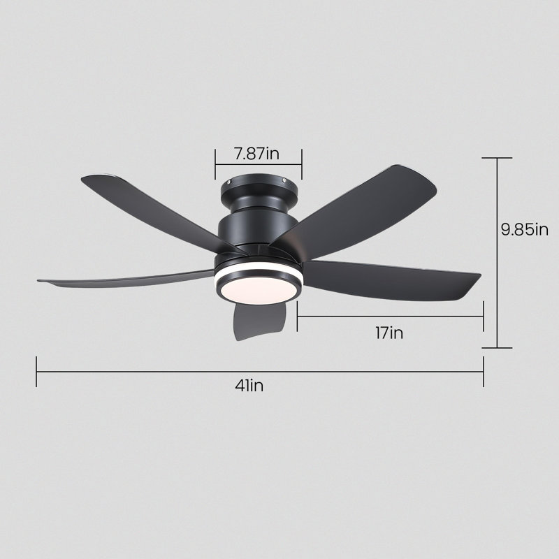Ventilateur, Noir