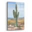 «Saguaro Cactus Study 1» par Ethan Harper-1779478165