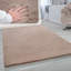 Aarju Area Rug-1768891633