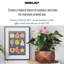 Idealist Geometry Style Bronze Bowl Planter, Indoor Plant Pot For Indoor Plants D30 H15 Cm, 10L-1632447001-1632447006