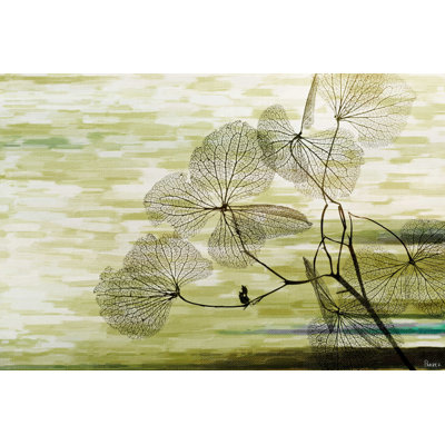 " Kelp " by Parvez Taj